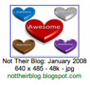 Not their blog… January 2008