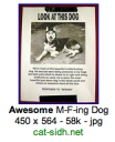 Awesome M.F-ing Dog